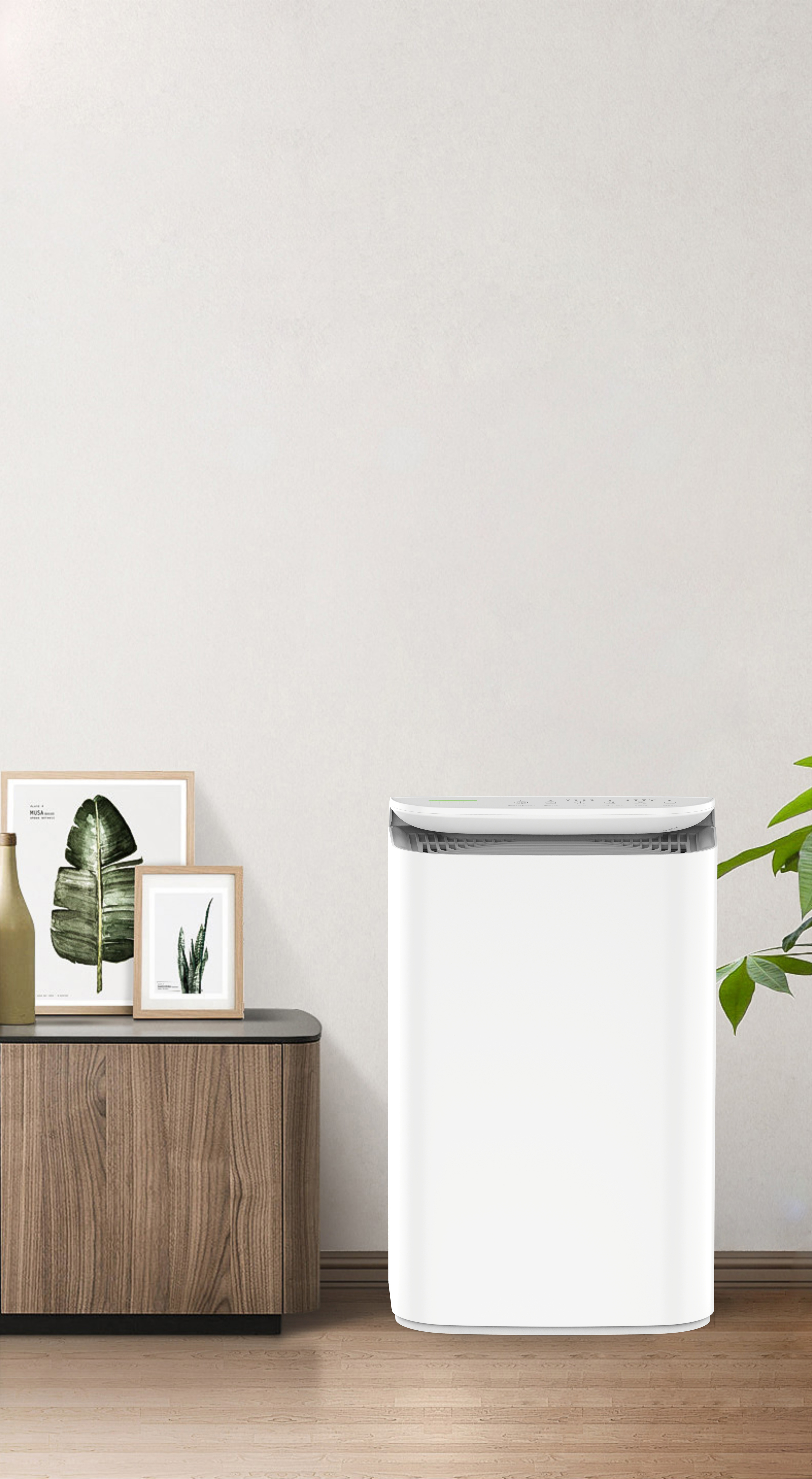 Opgrader anionteknologi frisk åndedrag af skoven BKJ-16B